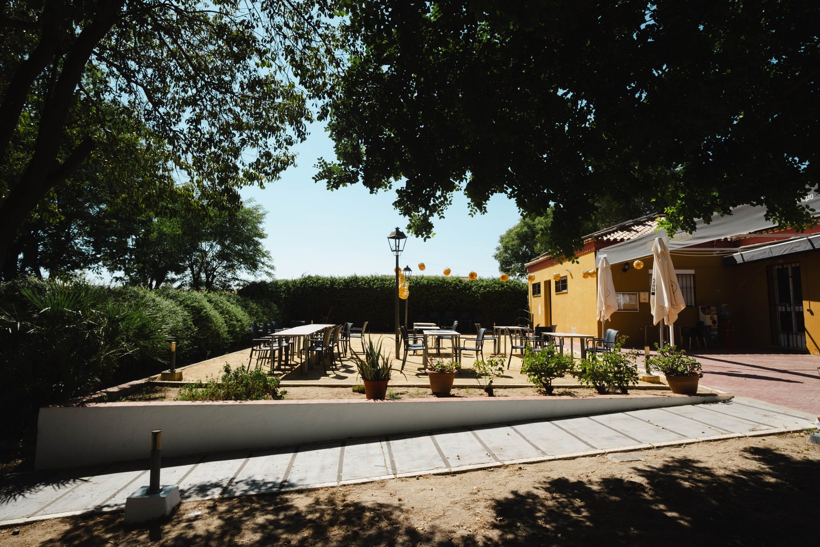 Terraza del bar
